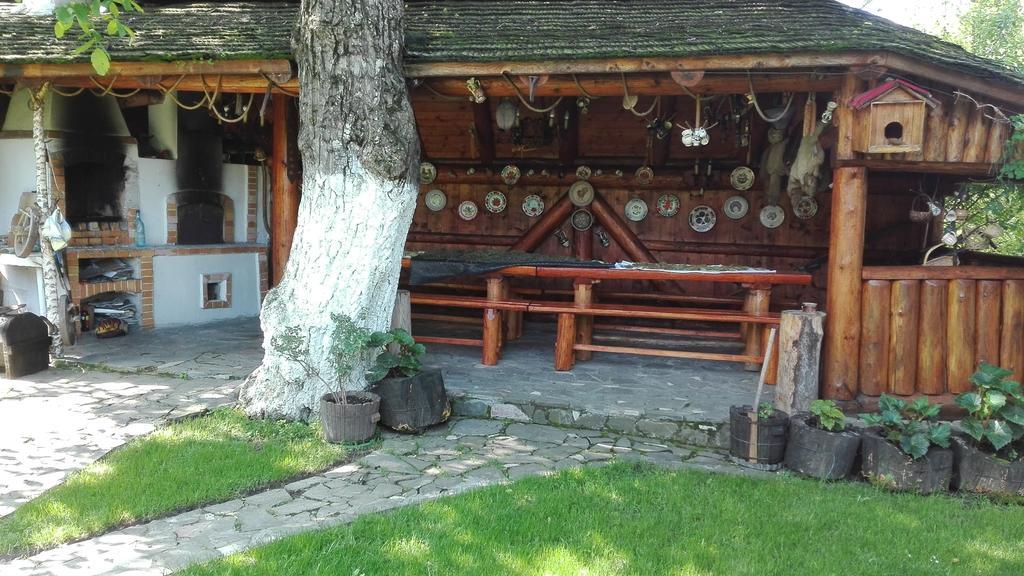 Pension Casa Contelui Рышнов Экстерьер фото
