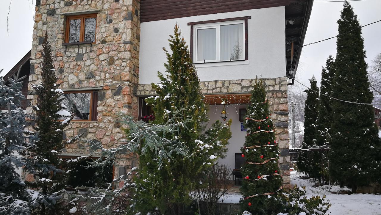 Pension Casa Contelui Рышнов Экстерьер фото