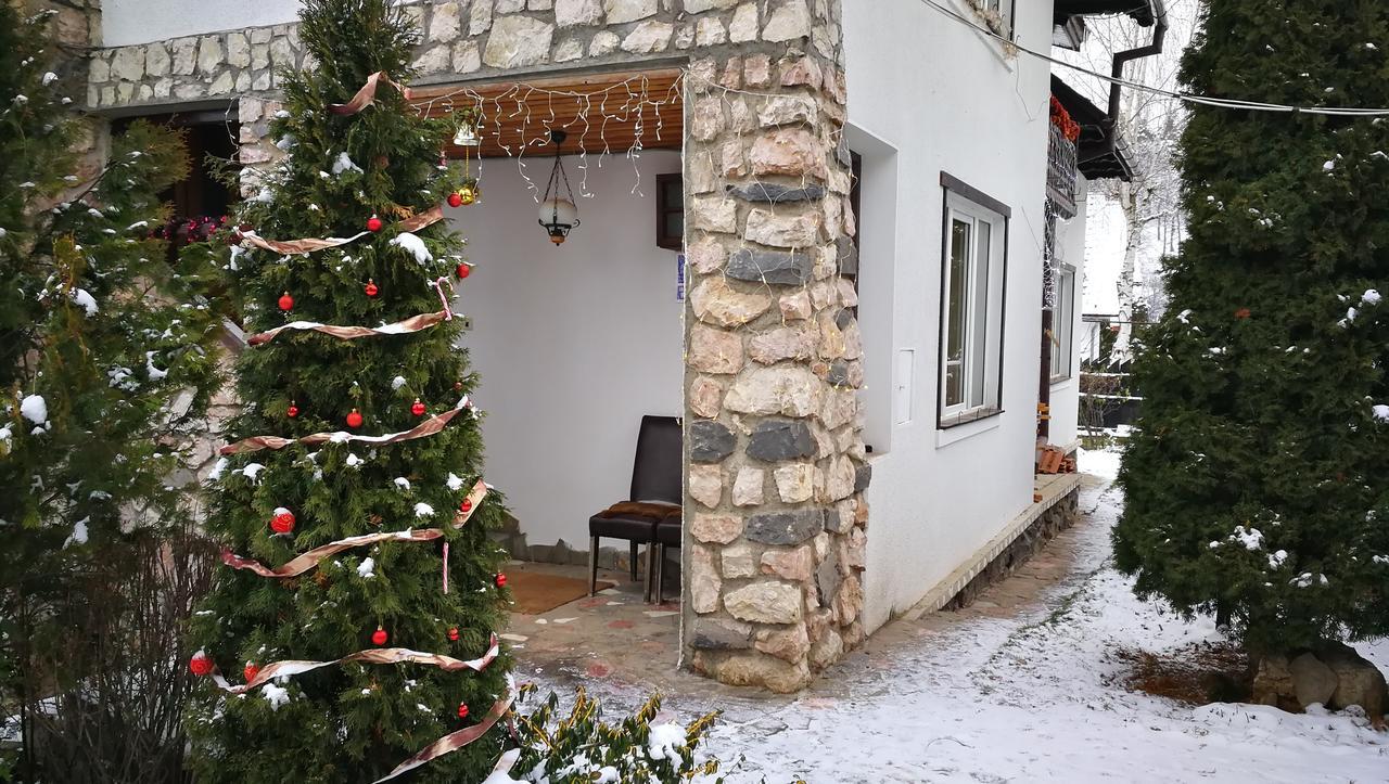 Pension Casa Contelui Рышнов Экстерьер фото