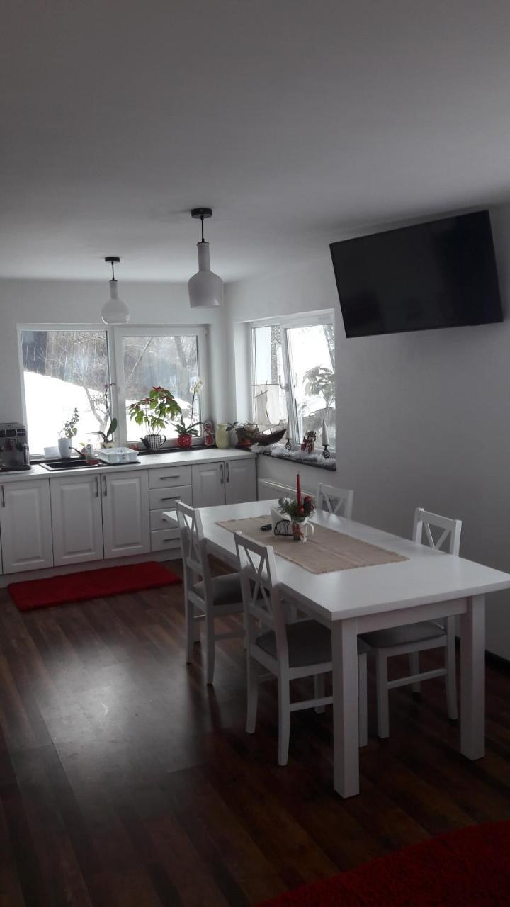 Pension Casa Contelui Рышнов Экстерьер фото